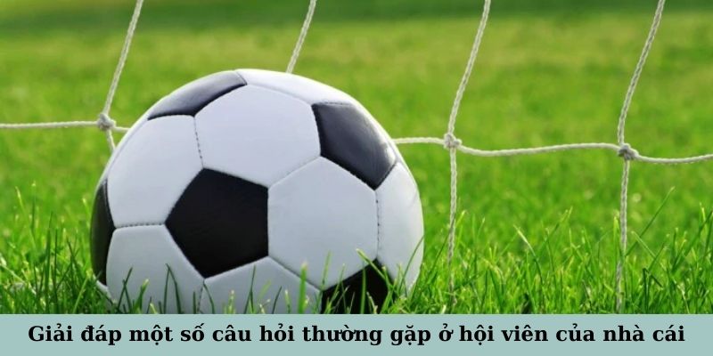 Giải đáp một số câu hỏi thường gặp ở hội viên của nhà cái